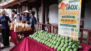 Discover Vietnam's Historic Landmark Older Than Eiffel Tower Visited by French President - image 5