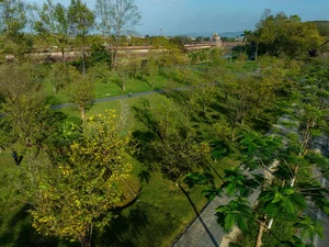 Golden Apricot Blossoms at Hue Imperial City: Experience the Vibrant Spring Spirit and Cultural Heritage of Vietnam’s Ancient Capital - image 8