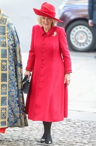 Prince William and Kate Middleton Attend Major Royal Event Amid Scandals - image 8