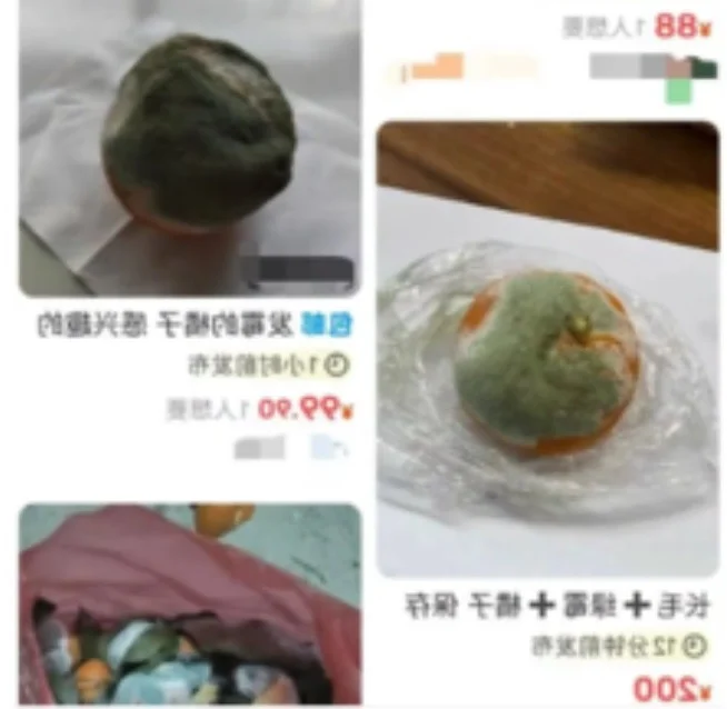 The Luxury Moldy Fruit Trend: Why Collectors Pay Premium Prices