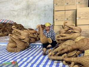 The Art of Fern Weaving in Phu Tuc: Discovering Vietnam's Traditional Eco-Friendly Craft Village - image 0