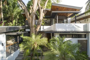 20 Beautiful Tropical Style Home Designs to Bring Nature Into Your Living Space - image 8