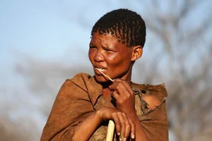 Incredible Desert Survival Secrets of the World's Oldest Tribe - image 2
