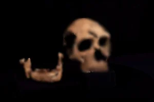 Scientists Reconstruct the Face of an Ancient Neanderthal Woman, Revealing a Striking Appearance - image 2