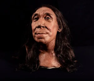 Scientists Reconstruct the Face of an Ancient Neanderthal Woman, Revealing a Striking Appearance - image 3
