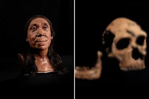 Scientists Reconstruct the Face of an Ancient Neanderthal Woman, Revealing a Striking Appearance - image 6
