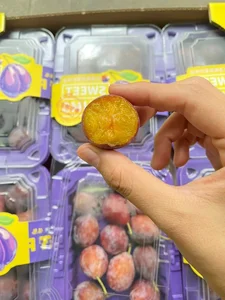 The Surprising Truth Behind the Cheap Sugar Plums Viral Online - image 7