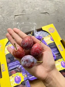The Surprising Truth Behind the Cheap Sugar Plums Viral Online - image 0