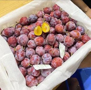 The Surprising Truth Behind the Cheap Sugar Plums Viral Online - image 3