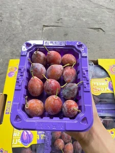 The Surprising Truth Behind the Cheap Sugar Plums Viral Online - image 1