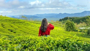 9 Best Instagrammable Spots in Da Lat for Your Next Getaway - image 6