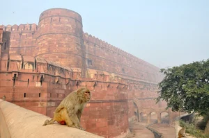 Majestic Ancient Forts of India: A Journey Through Architectural Grandeur and History - image 6