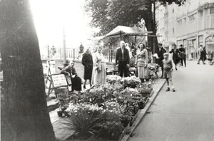 Rare Historical Photos: Glimpses of European Life 100 Years Ago - image 9