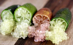 Finger Lime: The 'Citrus Caviar' Now Successfully Grown in Vietnam - image 4