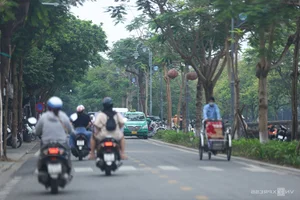 Exploring the Scenic Green Running Routes of VnExpress Marathon Hue - image 8
