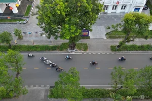 Exploring the Scenic Green Running Routes of VnExpress Marathon Hue - image 4