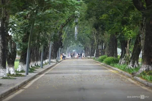 Exploring the Scenic Green Running Routes of VnExpress Marathon Hue - image 9