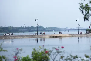 Exploring the Scenic Green Running Routes of VnExpress Marathon Hue - image 6