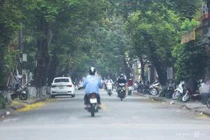 Exploring the Scenic Green Running Routes of VnExpress Marathon Hue - image 2