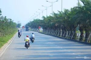 Exploring the Scenic Green Running Routes of VnExpress Marathon Hue - image 10