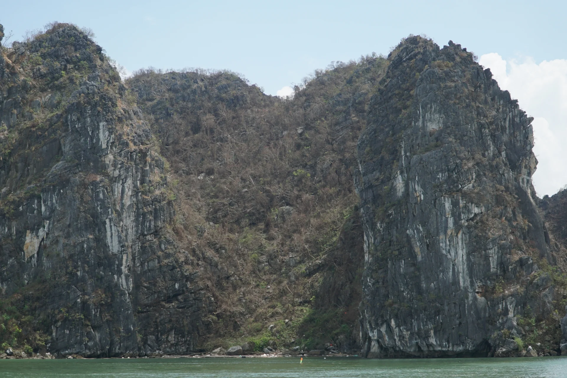 Ha Long Bay Vegetation Ravaged by Typhoon Yagi: Environmental Impact and Recovery