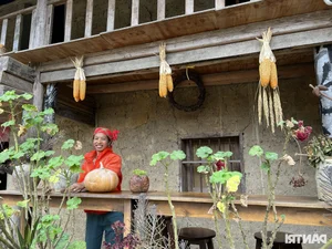 Empowering Women: How Northern Mountainous Provinces Drive Gender Equality - image 0