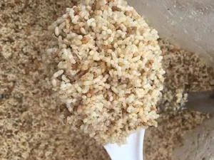 The Rare Delicacy of Northwest Vietnam: Black Ant Eggs - image 4
