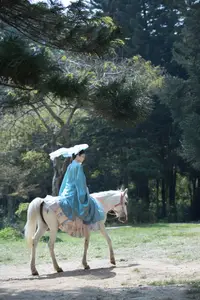 Zhi Zhi Qi: Enchanting Traditional Beauty on Horseback – YiTuYu Vol.8831 Forest Dream - image 6