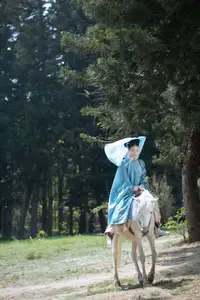 Zhi Zhi Qi: Enchanting Traditional Beauty on Horseback – YiTuYu Vol.8831 Forest Dream - image 5