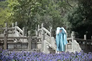 Zhi Zhi Qi: Enchanting Traditional Beauty on Horseback – YiTuYu Vol.8831 Forest Dream - image 1