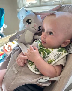 Paris Hilton's Motherhood Journey and the Social Media Debate Over Baby Phoenix - image 1