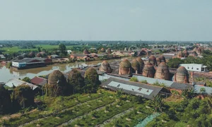 A Journey Through Western Vietnam: Exploring Sa Dec and Mang Thit Before Tet - image 0