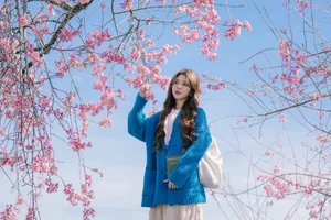 Dreamy muse amidst the blooming cherry blossoms in Da Lat - image 11