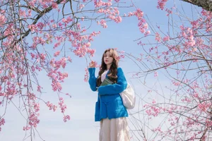 Dreamy muse amidst the blooming cherry blossoms in Da Lat - image 5