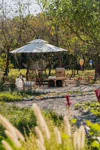 Young Couple Retires at 34 to Transform Island Chicken Coop Into Luxury Home - image 14