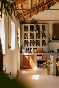 Young Couple Retires at 34 to Transform Island Chicken Coop Into Luxury Home - image 4