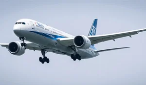 Fascinating Facts About the Boeing 787 Dreamliner: A Revolution in Aviation - image 4
