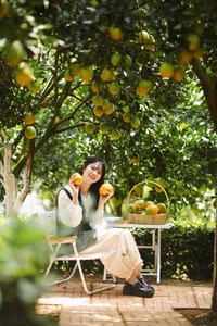 Exploring the Vibrant Golden Orange Orchards of Moc Chau: A Must-Visit Destination for Nature Lovers and Travelers - image 3