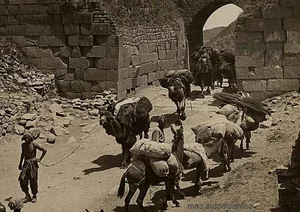 Rare Vintage Photos: The Great Wall of China in the 19th and 20th Centuries - image 6