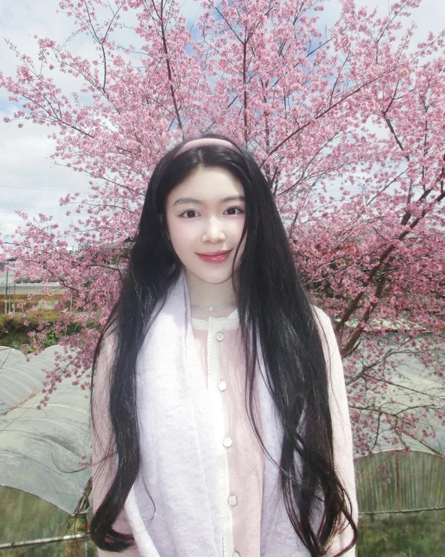 Quyen Linh's Daughter Lo Lem Stuns in Ethereal Peach Blossom Garden Photoshoot