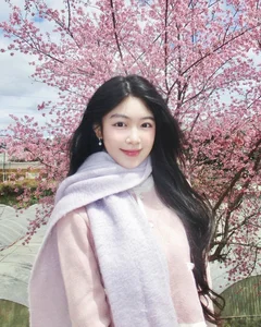 Quyen Linh's Daughter Lo Lem Stuns in Ethereal Peach Blossom Garden Photoshoot - image 2