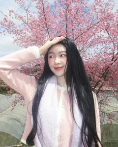 Quyen Linh's Daughter Lo Lem Stuns in Ethereal Peach Blossom Garden Photoshoot - image 3