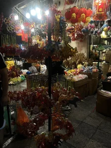 Vibrant Mid-Autumn Festival Celebrations: Street Check-ins and Grand Residential Events - image 6