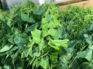 Discover Nghe An Seasonal Culinary Specialties: Hometown of Ho Van Cuong's Wife - image 4