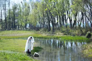 Wan Jiang Ting Vol.8722: Ethereal Beauty by the Stream, A Poetic Visual Journey - image 8