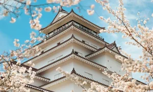 Fukushima's Cherry Blossom Paradise: A Spring Journey Through Japan - image 3