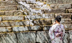 Fukushima's Cherry Blossom Paradise: A Spring Journey Through Japan - image 9
