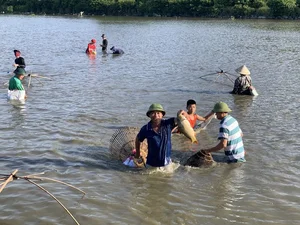 The 300-Year-Old Dong Hoa Fish Catching Festival: A Vibrant Vietnamese Cultural Tradition - image 2