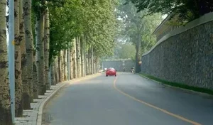 The 800-Year Mystery of Beijing’s Forbidden Hill: More Secretive Than the Forbidden City - image 11