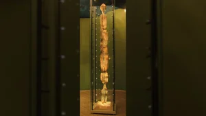 The Mystery of the 12,000-Year-Old Shigir Idol Defying Decay - image 0